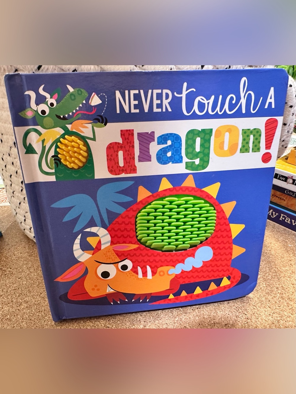 $3 CLOSET CLEAN OUT - Never Touch a Dragon! - Kids Touch-and-Feel Board Book